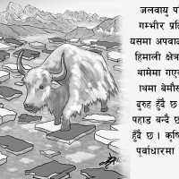 गोरखामा राष्ट्रिय परिचयपत्र वितरण सुरु