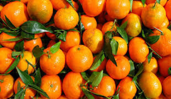 सलकपुरमा सुन्तला खान पुग्छन् पर्यटक