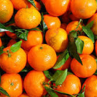 पश्चिम बागलुङका पौंदेलीहरुले ‘न्वागी’ पर्व मनाउँदै