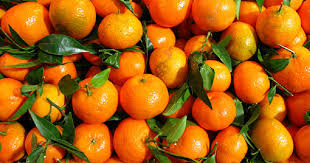 सलकपुरमा सुन्तला खान पुग्छन् पर्यटक