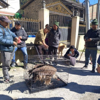 पर्वतीय पर्यटनमा सर्वाधिक सफलता