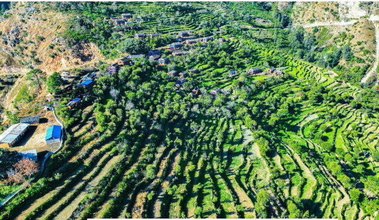 हिउँदे अधिवेशनमै भूमि ऐन टुङ्गोमा पुग्छः मुख्यमन्त्री आचार्य