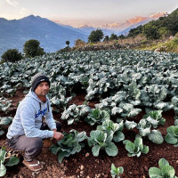 निजी क्षेत्रको छत्तिस अर्बसहित कुल छयहत्तर अर्बको क्षति