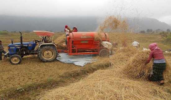 लोकतन्त्रको पुनर्निर्माण बहस
