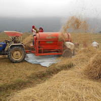 खेलको निगरानी (कविता)