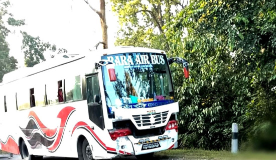 भिजिट भिसामा गोलमाल