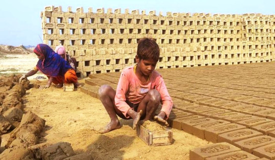 नीलकण्ठ नगरपालिकाको टोलमै स्वास्थ्य सेवा