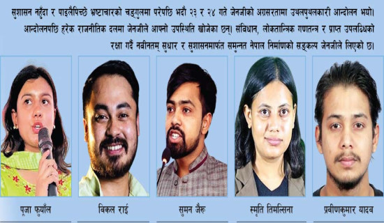 उपप्रधानमन्त्री लामिछाने र स्विडेनका राजदूत थेलेफबिच भेटवार्ता