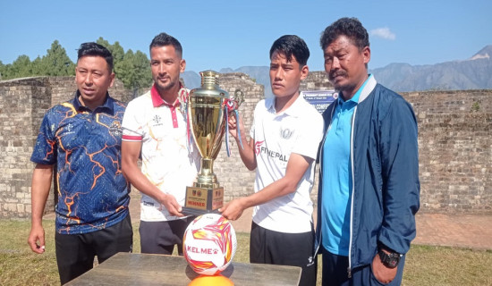 प्रवासी नेपालीलाई मताधिकार बहस