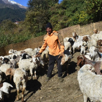 जहाज मर्मत गर्ने इन्जिनियरकै मृत्यु : शवहरूको सनाखत हुँदै