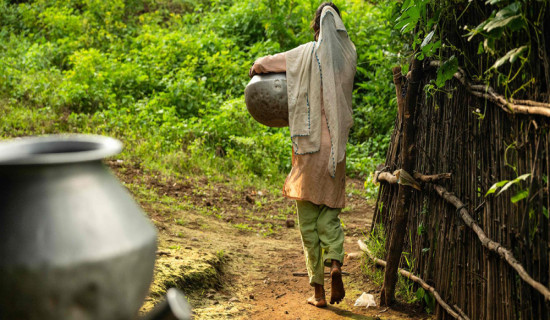 कफीको पहिचान जोगाउन गुल्मेलीलाई सकस