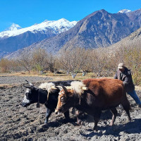 प्रधानमन्त्रीसँग जिल्लाको नाम ‘नवलपुर’ राख्न माग