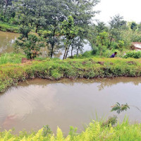 रौतहट ३ को (ख)मा कांग्रेसका यादव विजयी