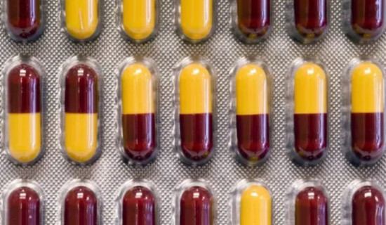 अनुमति नलिई जङ्गलमा बसेका विदेशीलाई ठाउँ छोड्न सरकारको निर्देशन