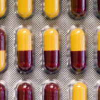 प्रधानमन्त्री प्रचण्डसँग आइसिसीका अध्यक्ष बार्कलेको शिष्टाचार भेट