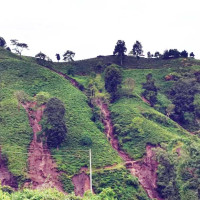 सङ्खुवासभाका ९५८ उम्मेदवारलाई १८ करोड ९० लाख रुपियाँ जरिवाना