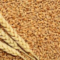 गणतन्त्रको उपलब्धि जनतासम्म पुर्‍याउन सक्नुपर्छ : अध्यक्ष खड्का