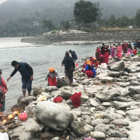 जाजरकोटमा अवैध सालको काठसहित एकजना पक्राउ