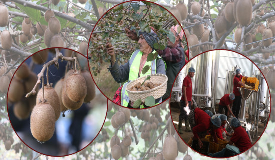 बुल्दीखोलामा धमाधम पक्की पुल निर्माण हुँदै