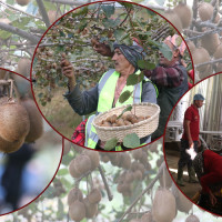 आइपिओ ल्याउनेलाई अनिवार्य दुई वटा ‘आइजिन’