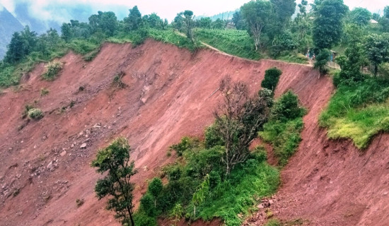 भियतनाममा पहिरो जाँदा १० जनाको मृत्यु