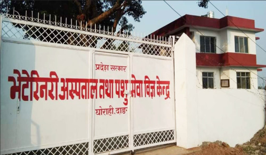 बर्सेनि घट्दै पशुपालन क्षेत्रमा बजेट