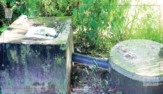 शौचका लागि चउर र झाडीको भर