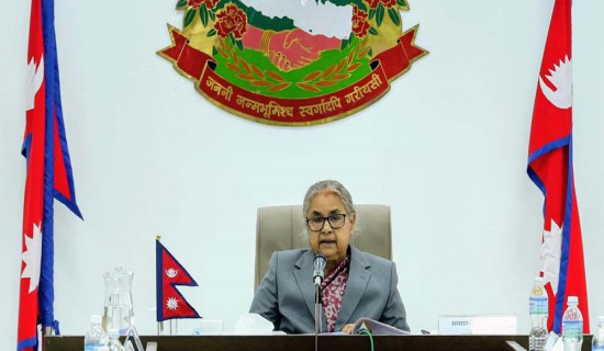 लोकतन्त्रमा अराजकता स्वीकार्य छैन : प्रधानमन्त्री कार्की