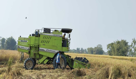 अर्धयान्त्रिकीकरणले थप समस्या