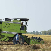 हिमालमा हिउँ, तराईमा शीतले दुःख