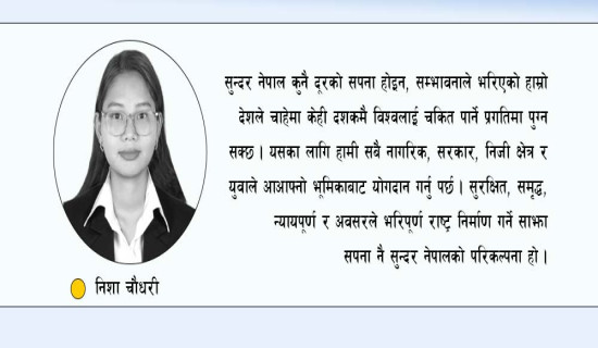 सुन्दर नेपालको परिकल्पना