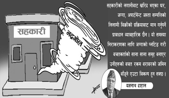 रकम हिनामिनामा शाहीलाई छ महिना कैद