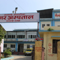 ६६ जिल्लामा ११ सयभन्दा बढीमा डेंगु पुष्टि, एकको मृत्यु