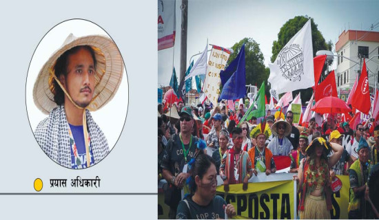 ६६ जिल्लामा ११ सयभन्दा बढीमा डेंगु पुष्टि, एकको मृत्यु