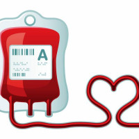 पचपन्न लाख किलोभन्दा बढी जडीबुटी निर्यात