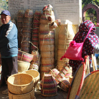 पचपन्न लाख किलोभन्दा बढी जडीबुटी निर्यात