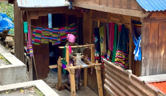 भेडाको उनलाई कला र आम्दानीमा बदल्दै साम्दोका महिला