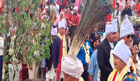 आँबुखैरेनीमा बोलेरो दुर्घटना : एक जनाको मृत्यु, पाँच घाइते