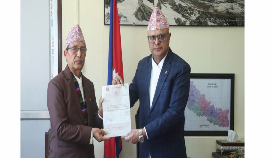 योजना आयोगको उपाध्यक्षमा निरौला