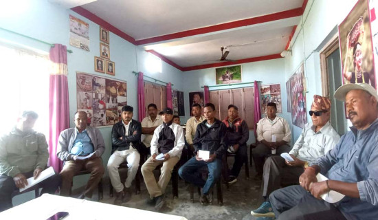 आफैँ भलमनसा आफैँ चौकीदार