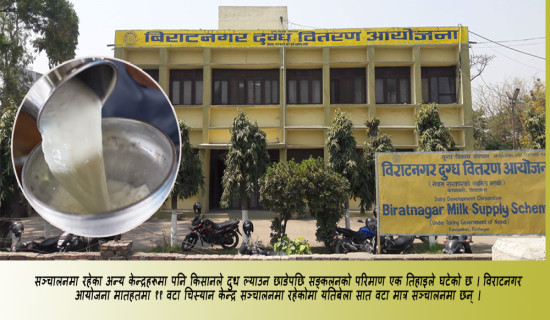 किसानले दुध दिन छाडेपछि धमाधम बन्द हुँदै चिस्यान केन्द्र