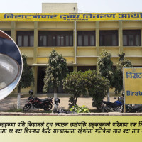 आलु सुपरजोनमा इँटा फलाइँदै