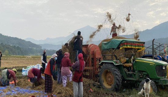गोरखाका किसानलाई थ्रेसरको सहारा
