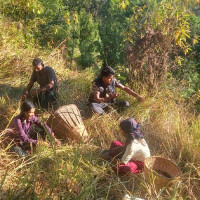 भारतीय विद्युत् मन्त्री काठमाडौँमा