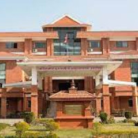 तोडफोड, आगजनीमा संलग्न २९ जना पक्राउ