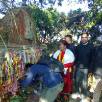 दाङका किसानले पाएनन् धानको समर्थन मूल्य