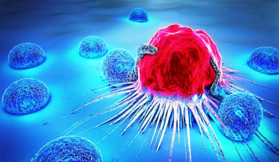 फ्रान्सेली वैज्ञानिकद्वारा क्यान्सर उपचारमा एमआरएनएको सम्भाव्यता परीक्षण