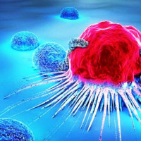 'सेफ हाउस' नहुँदा समस्या