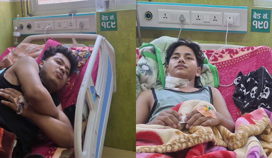 जडिबुटी खेती विस्तारमा केन्द्रको लगानी