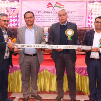 फरार चार प्रतिवादी पक्राउ